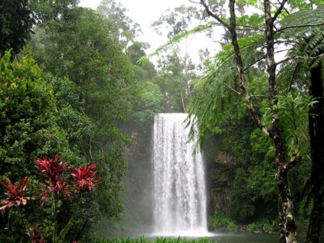 Atherton Tablelands
