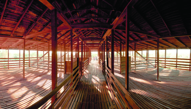 Australian Woolshed Brisbane