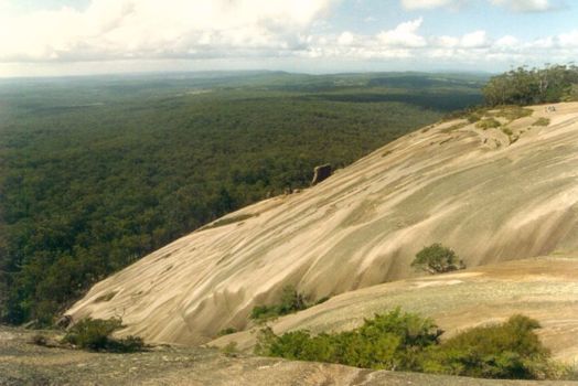Bald Rock National Park