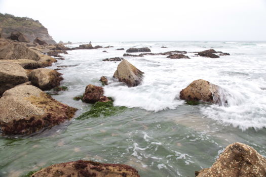 Bald Rock National Park