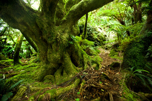 Booderee National Park