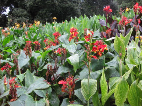 Botanic Gardens