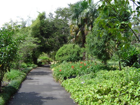 Botanic Gardens