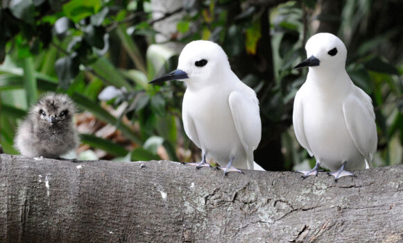 Coorong National Park