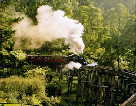 Dandenong Ranges National Park