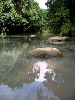 Dandenong Ranges National Park