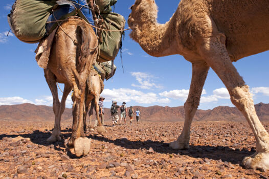 Flinders Ranges National Park