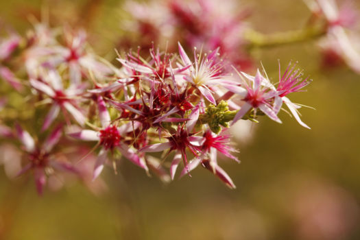 Grampians National Park