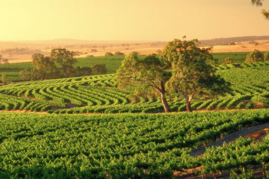 Hunter Valley