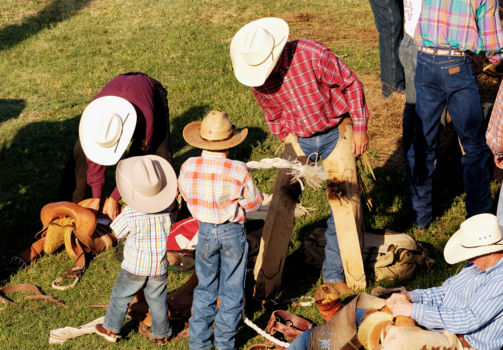 Jackaroo and Jilleroo School
