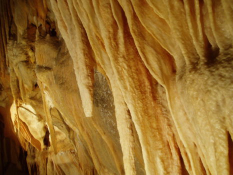 Jenolan Caves