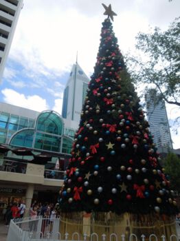 Kerst in Sydney