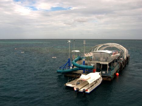 Lady Musgrave Barrier Reef Cruise