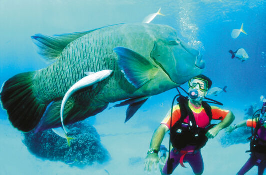 Lizard Island