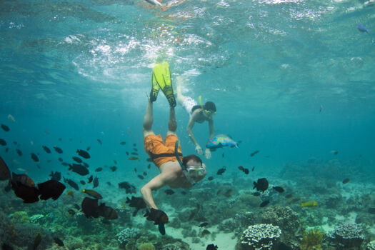 Lord Howe Island