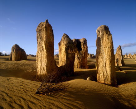 Nambung National Park (The Pinnacles)