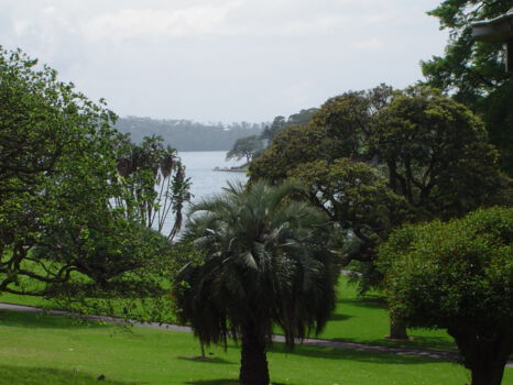 Royal Botanic Gardens en The Domain