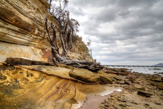Maria Island National Park