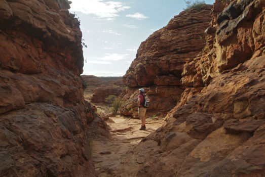 Watarrka National Park