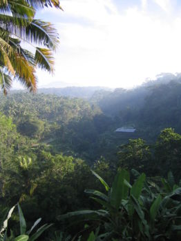 Alas Purwo National Park