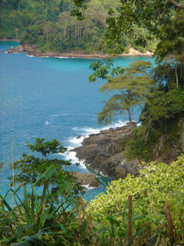 Bali Barat National Park