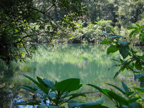 Bantimurung natuurreservaat