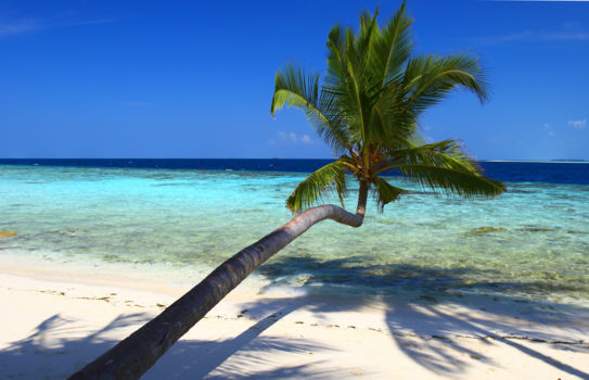 Indonesië