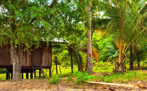 Bogani Nani Wartabone National Park