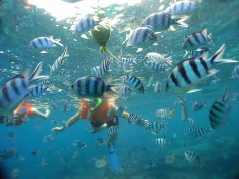 Duiken en snorkelen Sumatra