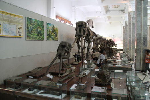 Geologisch Museum