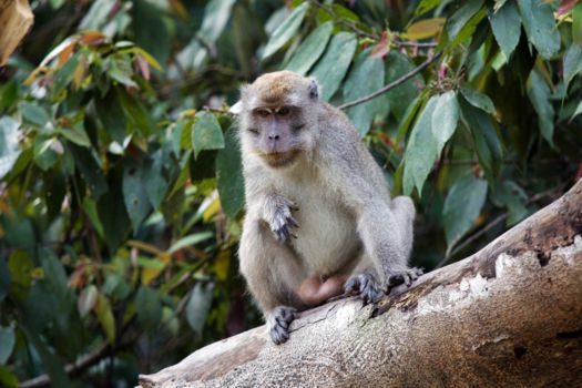 Kayan Mentarang National Park