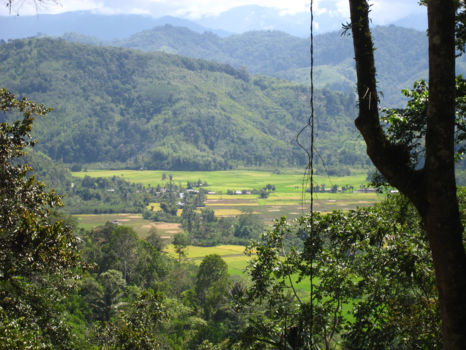 Lore Lindu National Park