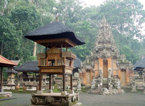 Monkey Forest
