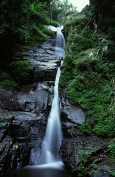 Mount Halimun National Park