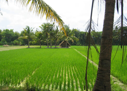 Taman Sari Park