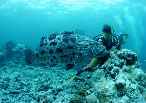 Taka Bonerate Marine National Park