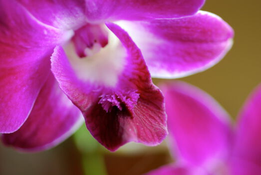 Tweede Wereldoorlog Begraafplaats