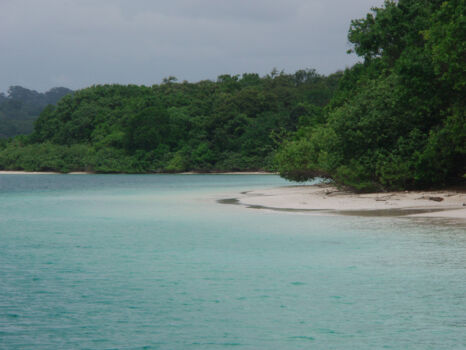 Ujung Kulon National Park
