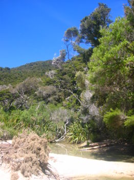 Abel Tasman Coast Track