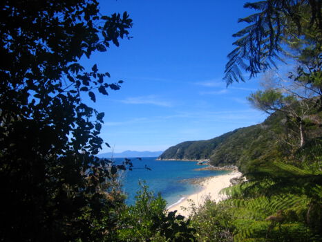 Abel Tasman National Park