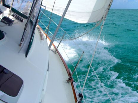Auckland Anniversary Regatta
