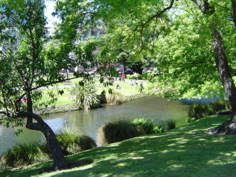 Avon River Christchurch