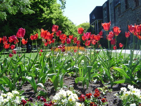 Avon River Christchurch