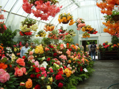 Botanic Gardens Christchurch