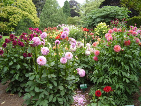 Botanic Gardens Christchurch