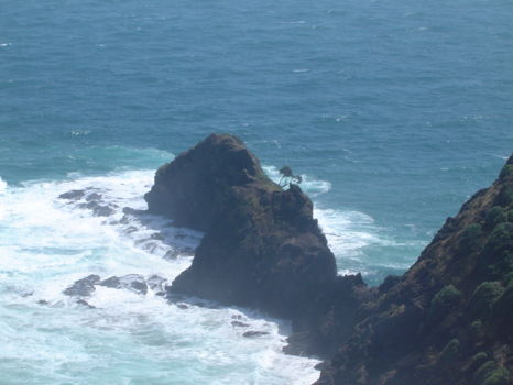 Cape Reinga