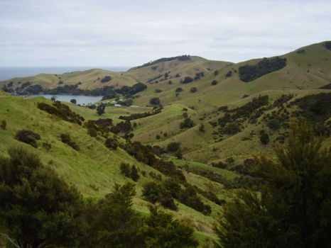 Coromandel Peninsula