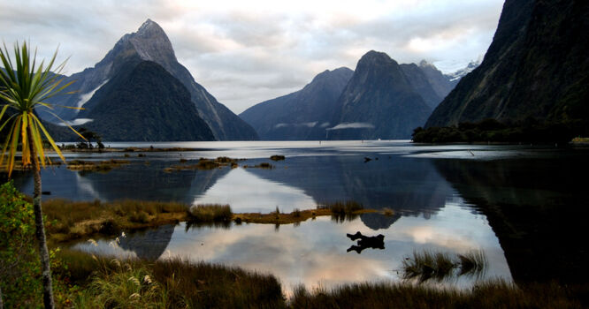 Doubtful Sound
