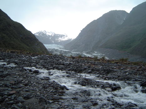 Fox Glacier