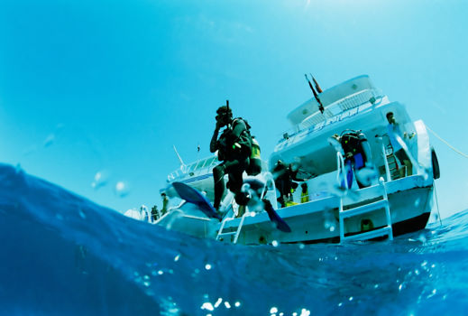 Goat Island Marine Reserve